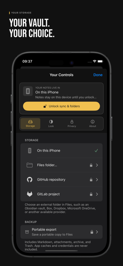 Configurazione dell'archiviazione di IOTHS su iPhone, con opzioni sul dispositivo, cartella Files, GitHub, GitLab ed esportazione portatile